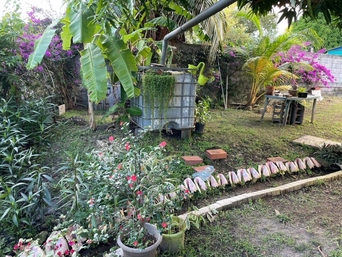 Residence Sucrerie Motel - Les Anses-D'Arlets - Martinique Ngoại thất bức ảnh
